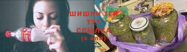 дмт Инта